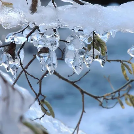 Hyper-centre T2bis 4 Pers Avec Casier A - Fr-1-234-341 *